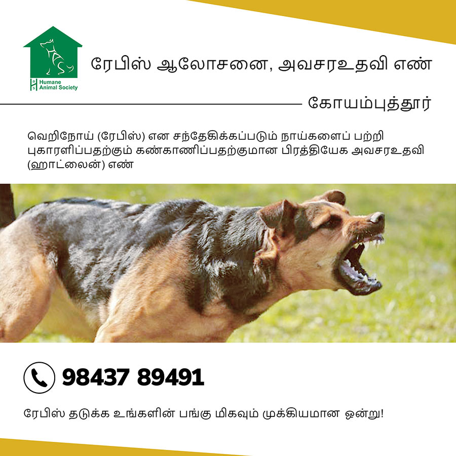 Humane Animal Society, Coimbatore, Tamil Nadu, India
